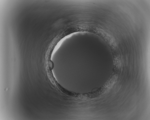 X0000102531009200809051504