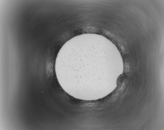 X0000102531010200809051504