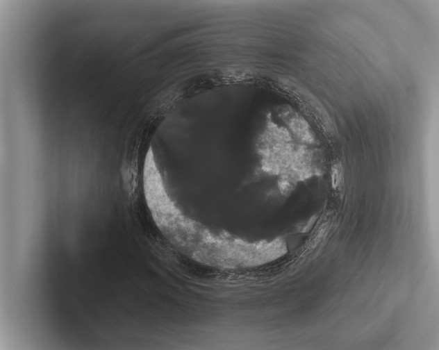 X0000102531011200809051504