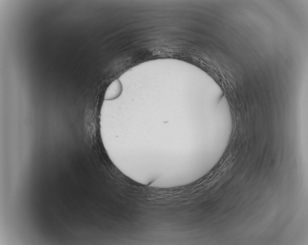 X0000102531012200809051504