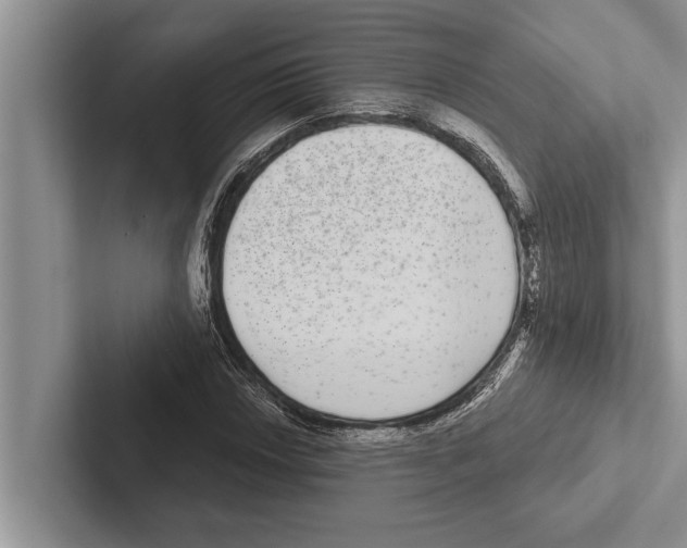 X0000102531018200809051505