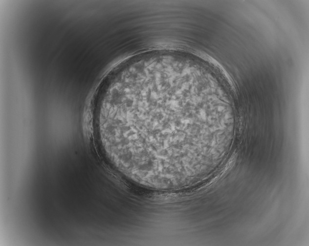 X0000102531019200809051505