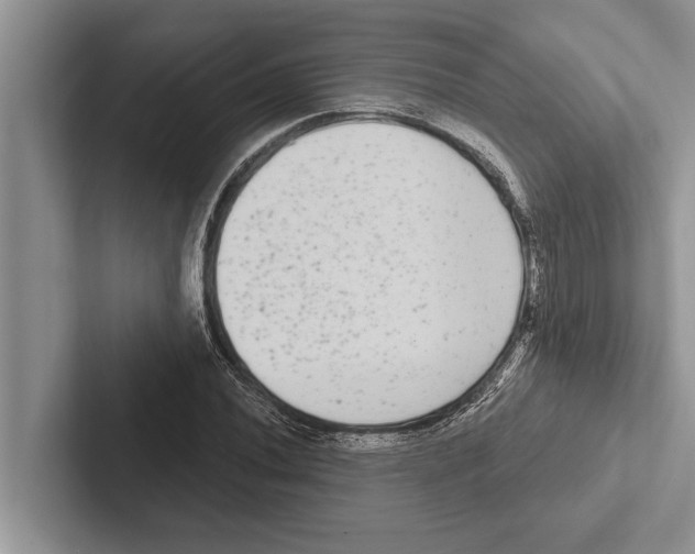 X0000102531020200809051505