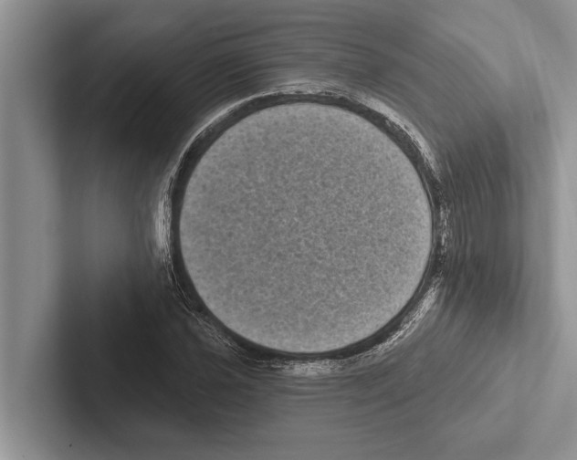 X0000102531021200809051505