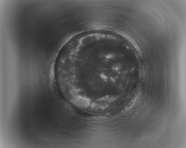 X0000102531023200809051505