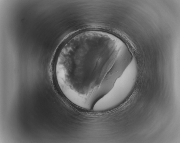 X0000102531024200809051505