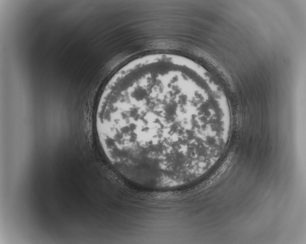 X0000102531025200809051505
