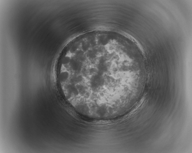 X0000102531027200809051505