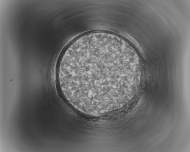 X0000102531028200809051505