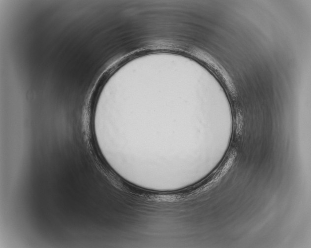 X0000102531029200809051505