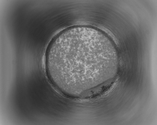 X0000102531030200809051505