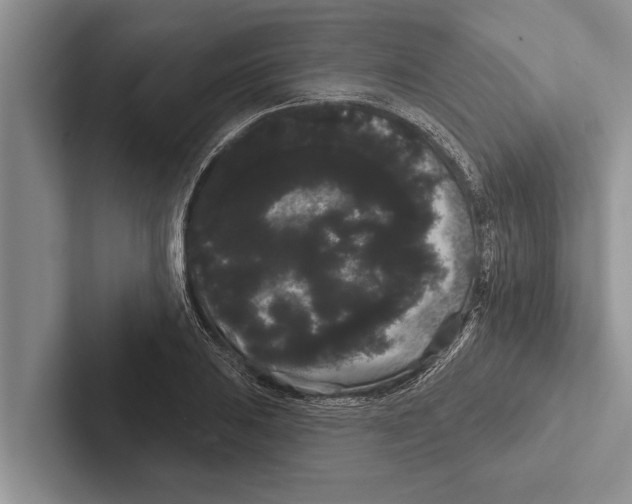 X0000102531031200809051505