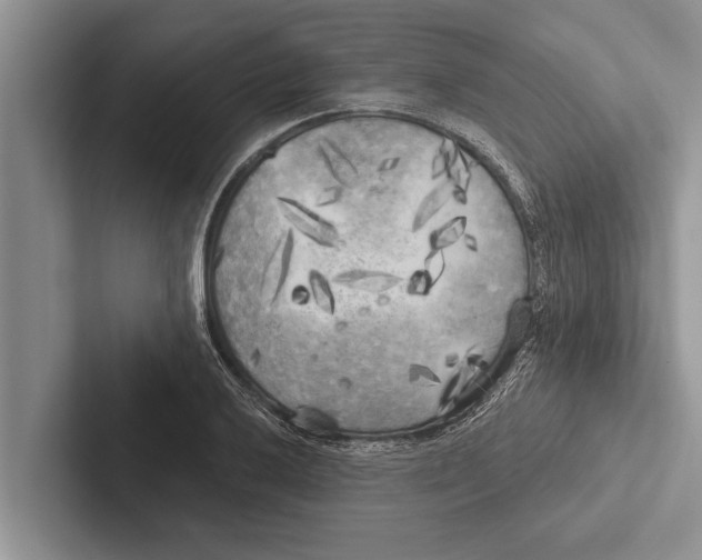 X0000102531032200809051505