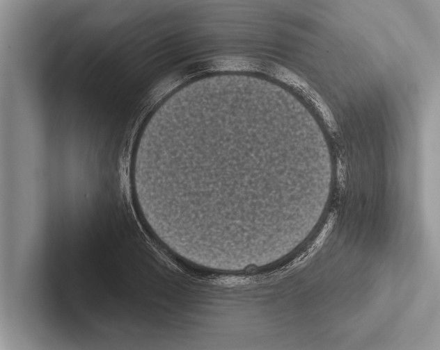 X0000102531033200809051505