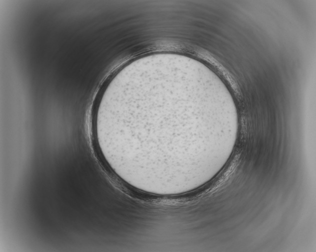 X0000102531034200809051505