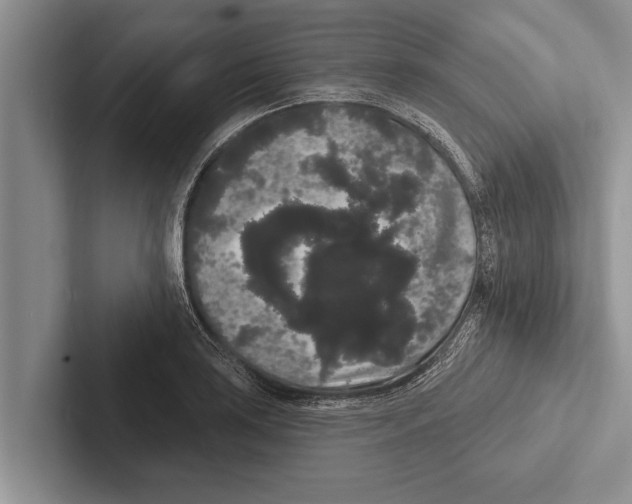 X0000102531035200809051505