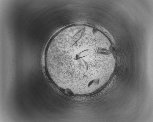 X0000102531036200809051505