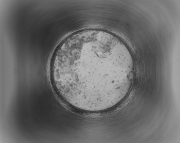 X0000102531038200809051505