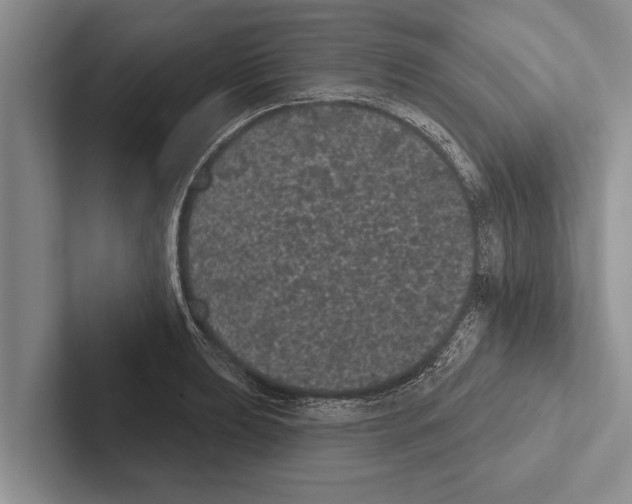 X0000102531039200809051505