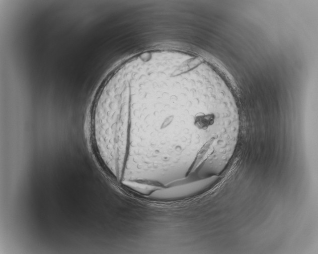 X0000102531040200809051505