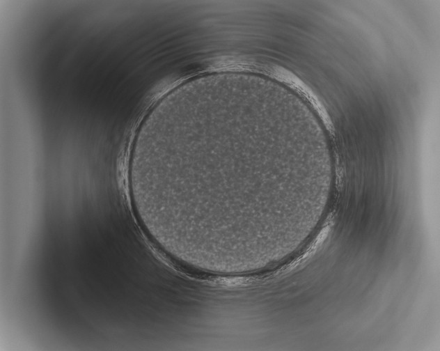 X0000102531041200809051505
