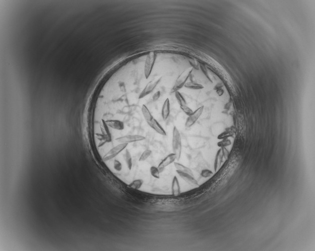 X0000102531043200809051505
