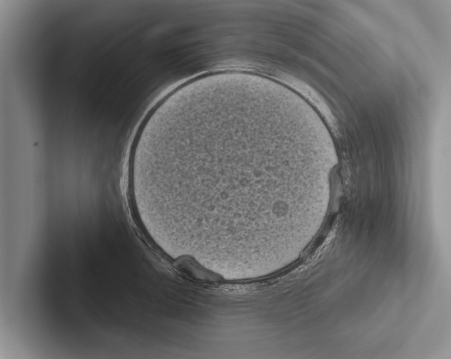 X0000102531044200809051505