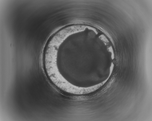 X0000102531045200809051505