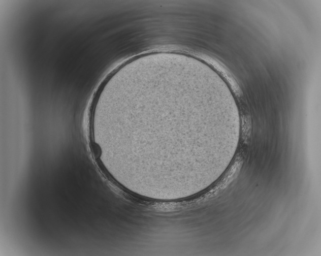 X0000102531046200809051505