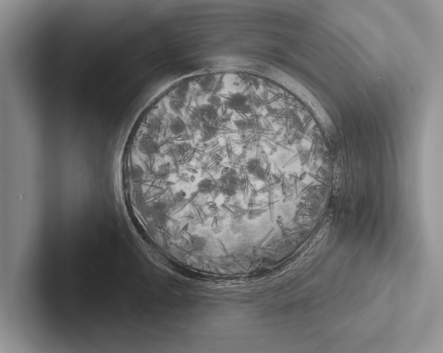 X0000102531047200809051505