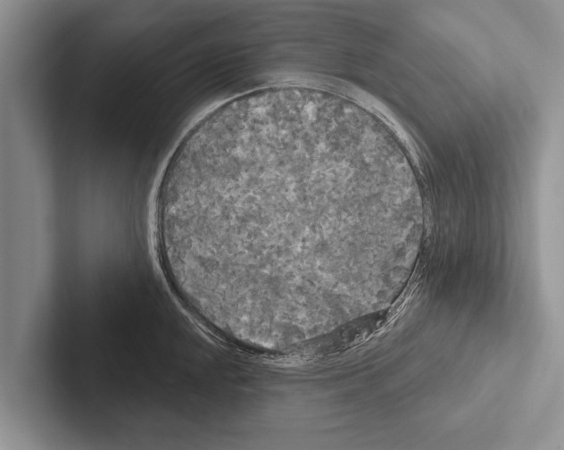 X0000102531048200809051505