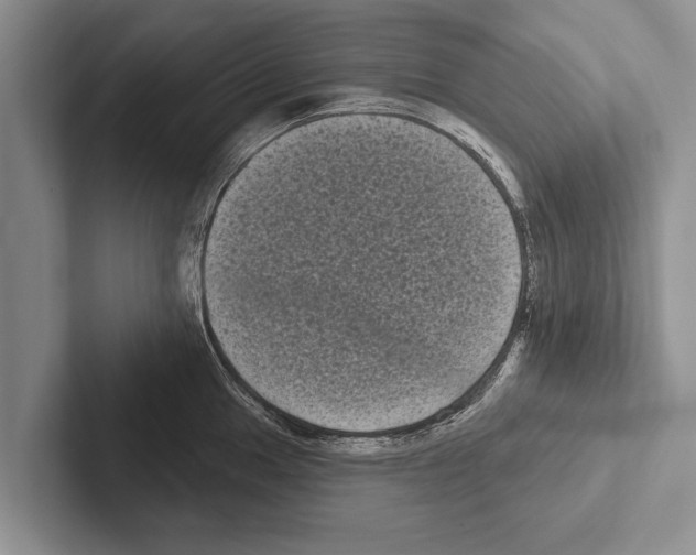 X0000102531049200809051505
