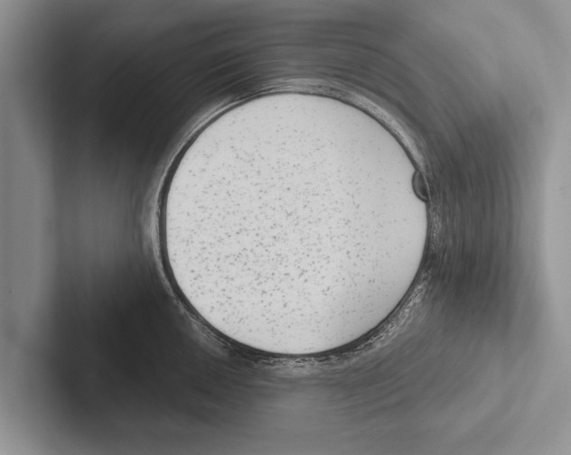 X0000102531050200809051505