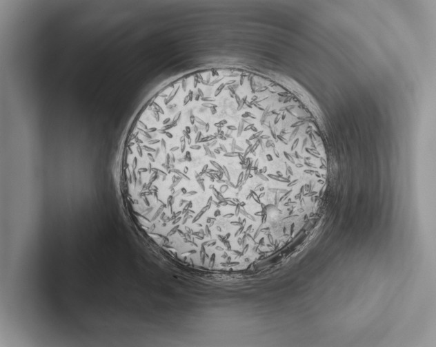 X0000102531052200809051505