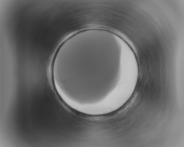 X0000102531053200809051505
