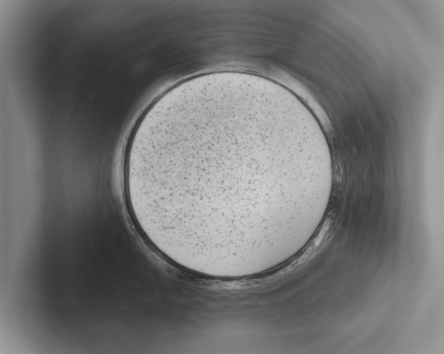 X0000102531054200809051505