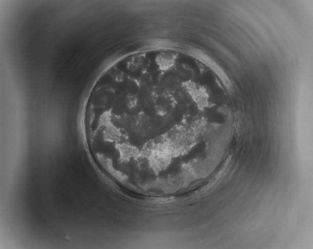 X0000102531055200809051505