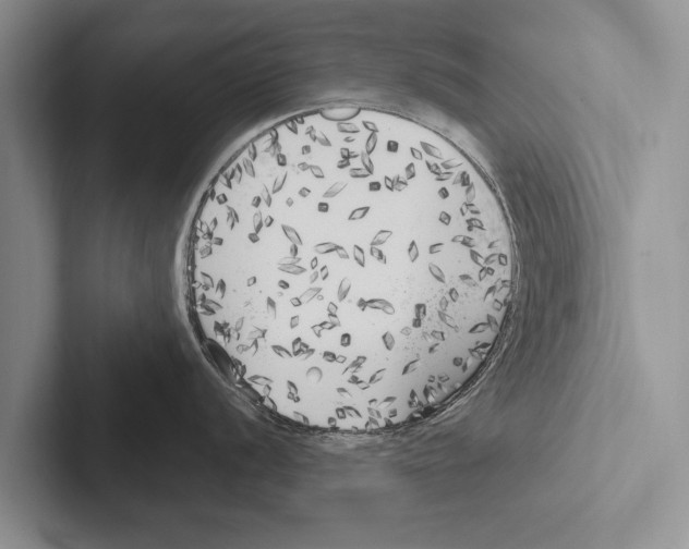 X0000102531056200809051505