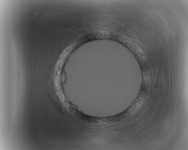 X0000102531057200809051504