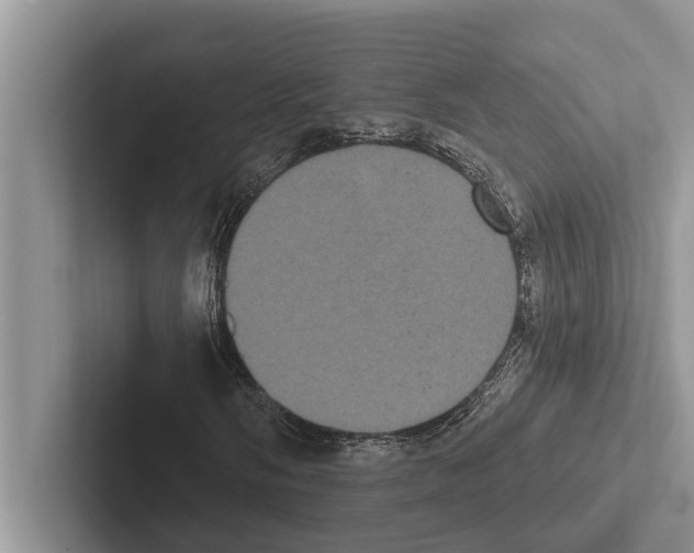 X0000102531058200809051504