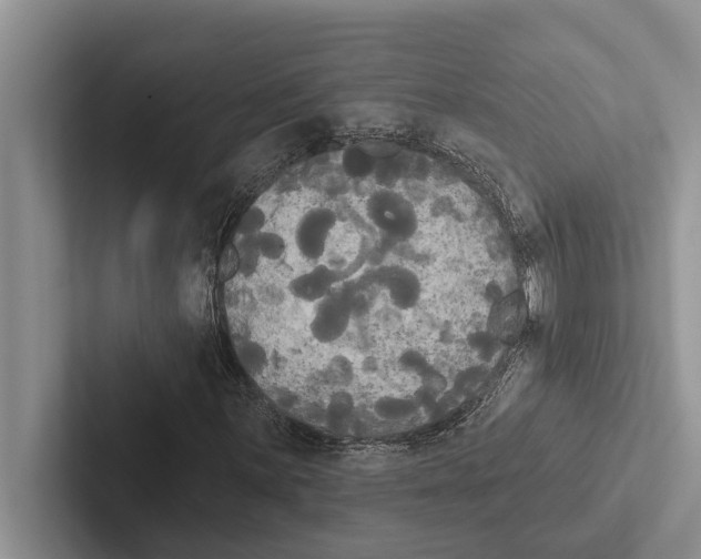 X0000102531059200809051504