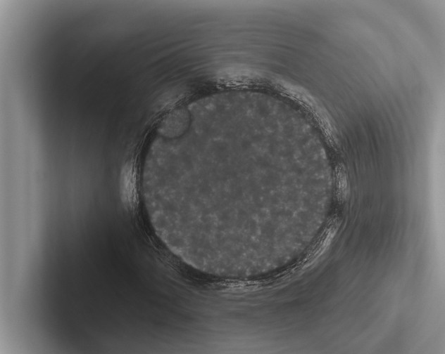 X0000102531060200809051504