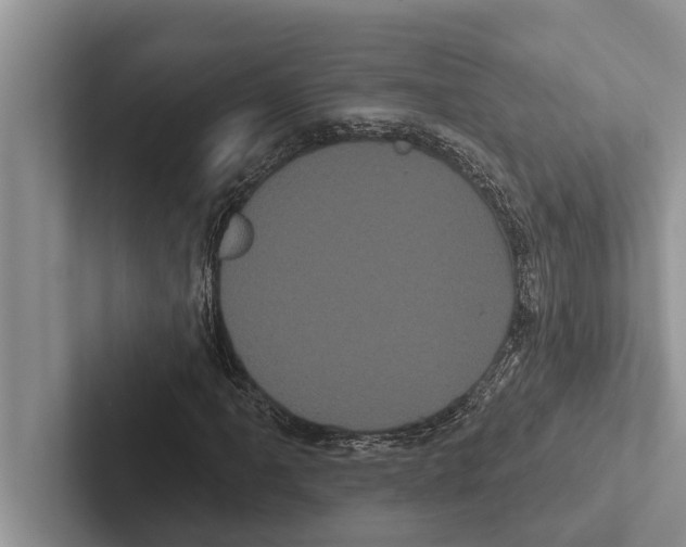 X0000102531061200809051504