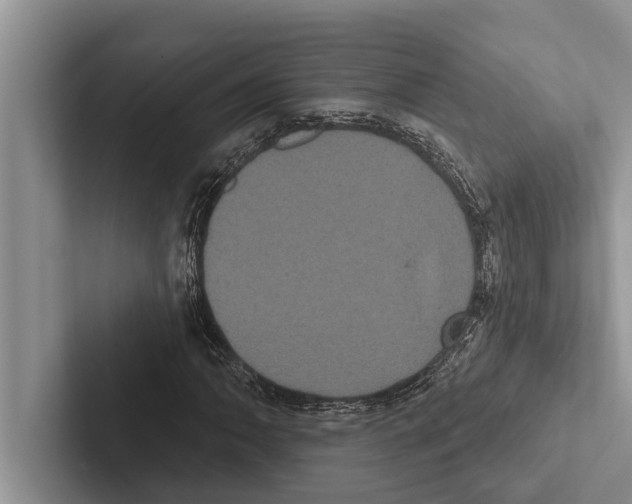 X0000102531062200809051504