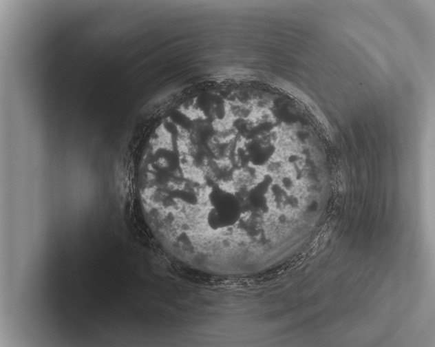 X0000102531063200809051504