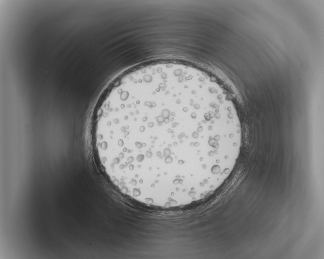 X0000102531068200809051504