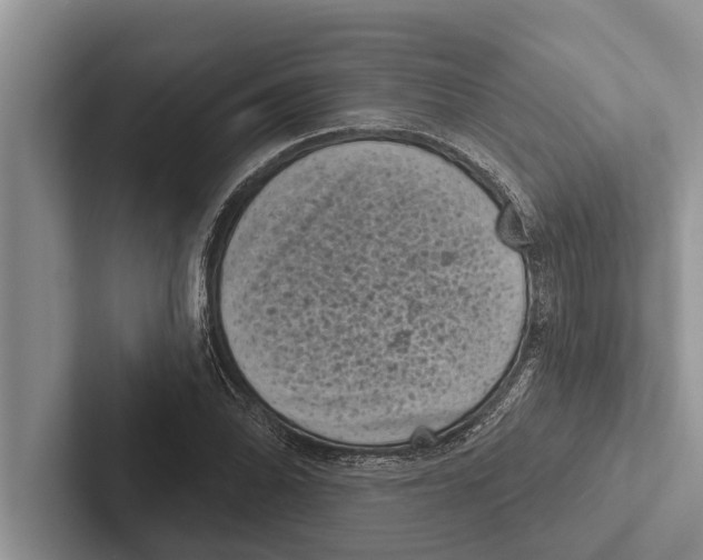 X0000102531070200809051504
