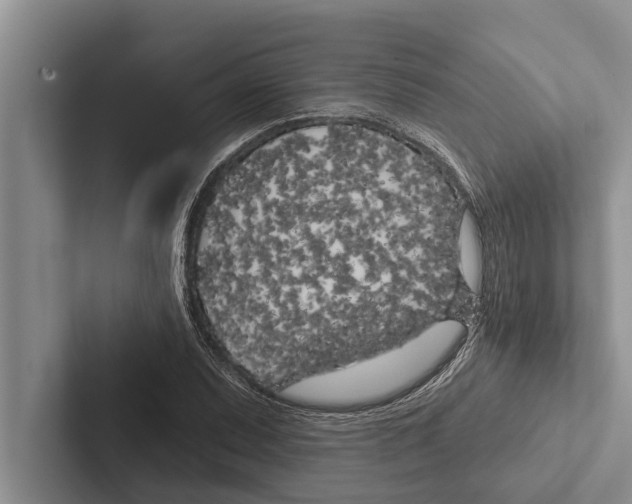 X0000102531071200809051504