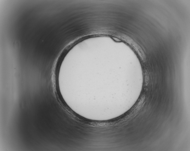 X0000102531072200809051504