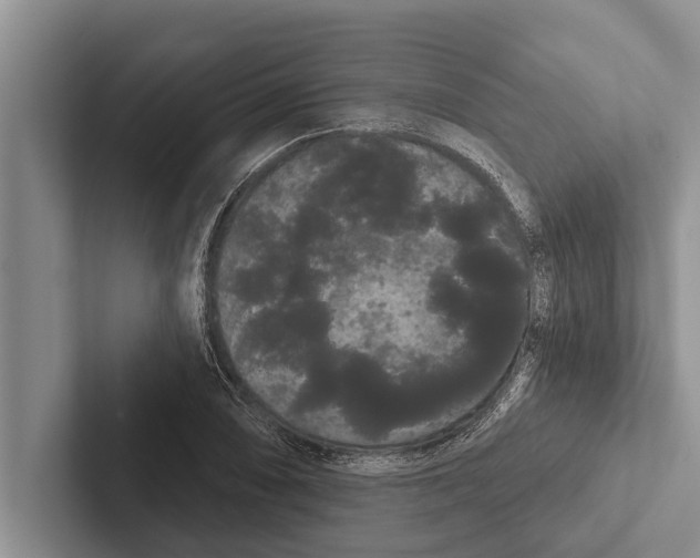 X0000102531074200809051504